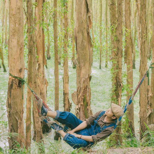 Lên hình siêu ảo 4 khu rừng tràm nổi đình đám ở miền Tây, liệu ngoài đời có đẹp như trên ảnh? - Ảnh 6. Lên hình siêu ảo 4 khu rừng tràm nổi đình đám ở miền Tây, liệu ngoài đời có đẹp như trên ảnh? - Ảnh 6.