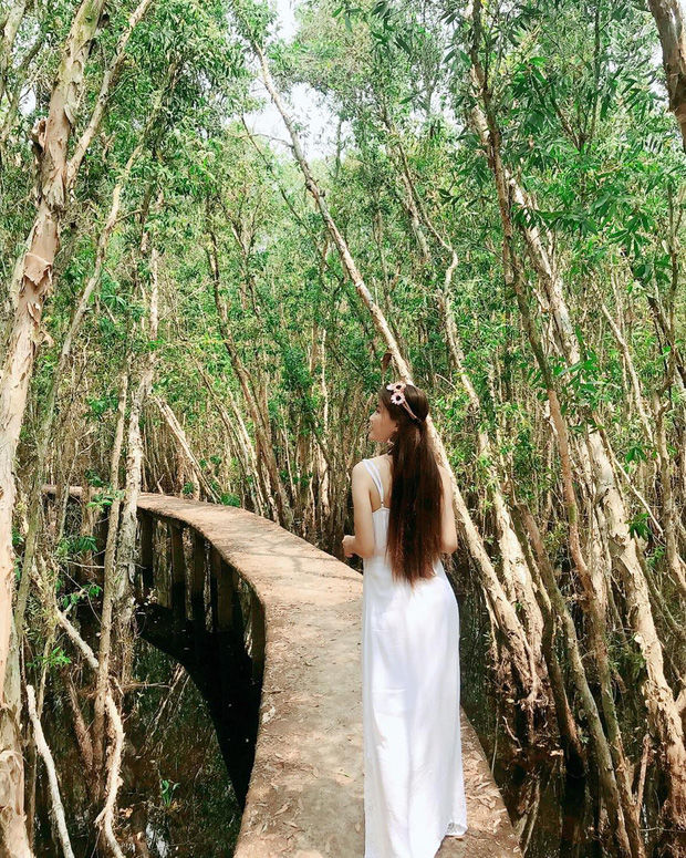 Lên hình siêu ảo 4 khu rừng tràm nổi đình đám ở miền Tây, liệu ngoài đời có đẹp như trên ảnh? - Ảnh 15. Lên hình siêu ảo 4 khu rừng tràm nổi đình đám ở miền Tây, liệu ngoài đời có đẹp như trên ảnh? - Ảnh 15.