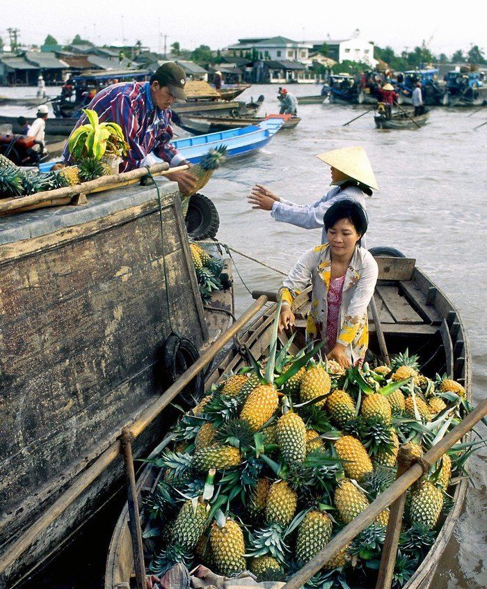 CHỢ NỔI CÁI RĂNG 5 khu chợ nổi nhất định phải ghé thăm nếu về miền Tây