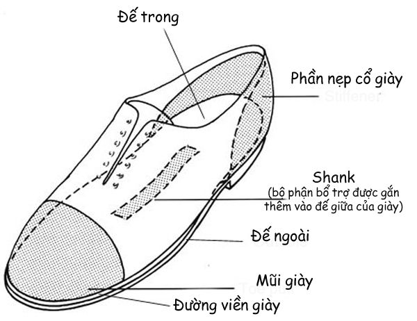 TS. Alex Kor cho biết không nên đi dép crocs quá 8-10 tiếng/ngày