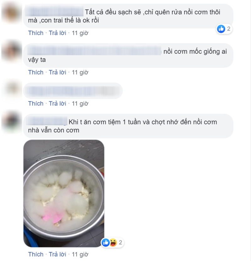 Chàng trai ở bẩn, để nồi cơm điện mọc nấm, bốc mùi chua nhưng lại được cư dân mạng khen hết lời-3