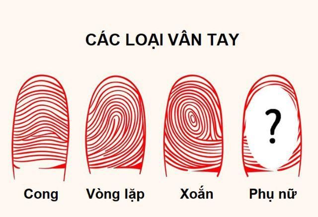 12 su that "khong tuong" ve co the: phu nu co the sinh 40 con, dan ong cung co sua - 6