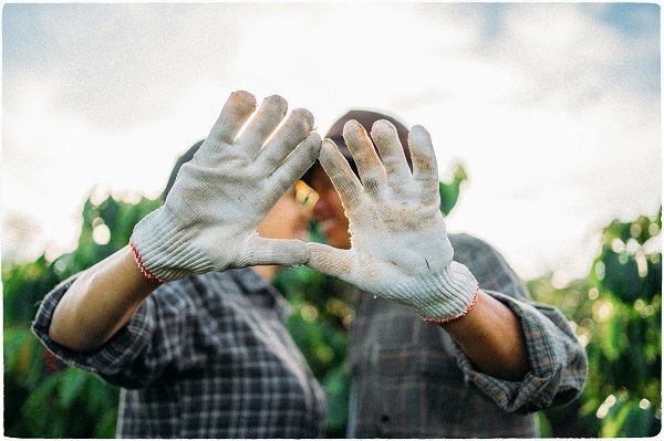 Bộ ảnh dung dị của vợ chồng U60 trên nương cà phê qua ống kính của một người đặc biệt 14