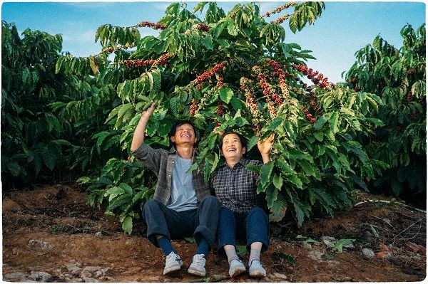 Mình cùng nhau già đi - bộ ảnh dung dị của vợ chồng U60 hái cà phê