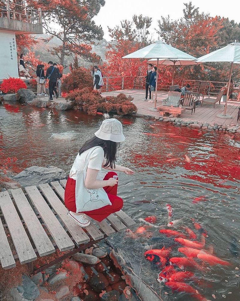 Địa điểm check - in hot nhất cuối thu đầu đông tuyệt đẹp