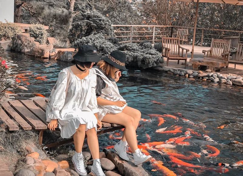 Địa điểm check - in hot nhất cuối thu đầu đông tuyệt đẹp