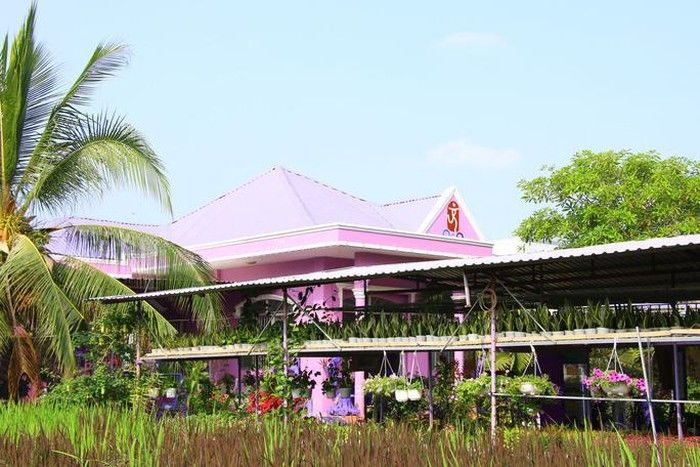 Lão nông gây sốt cộng đồng mạng với sở thích màu tím quái lạ