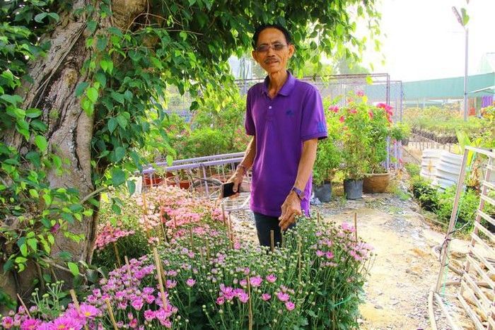 Lão nông gây sốt cộng đồng mạng với sở thích màu tím quái lạ