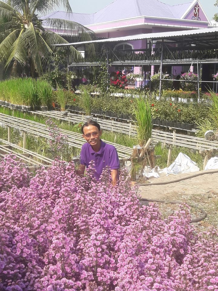 Lão nông gây sốt cộng đồng mạng với sở thích màu tím quái lạ