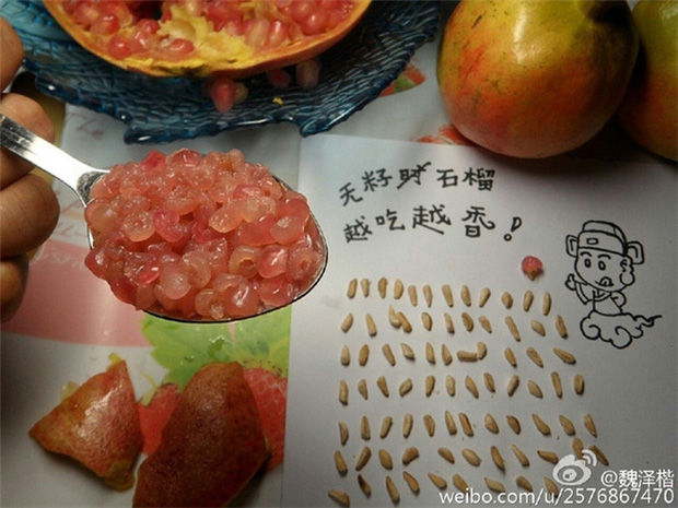 Khi hội những người theo “chủ nghĩa hoàn hảo” ăn uống sẽ như thế nào: Ăn cái gì cũng phải… lột sạch, khác gì cô Tấm thời hiện đại! - Ảnh 15. Khi hội những người theo “chủ nghĩa hoàn hảo” ăn uống sẽ như thế nào: Ăn cái gì cũng phải… lột sạch, khác gì cô Tấm thời hiện đại! - Ảnh 15.