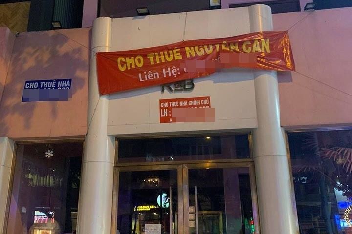 Nông dân Đà Lạt xót xa nhổ bỏ cả cánh đồng hoa cúc vì ế ẩm, rớt giá