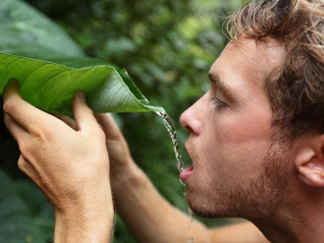 Giới hạn của cơ thể con người có khuynh hướng đi theo "nguyên tắc số 3".
