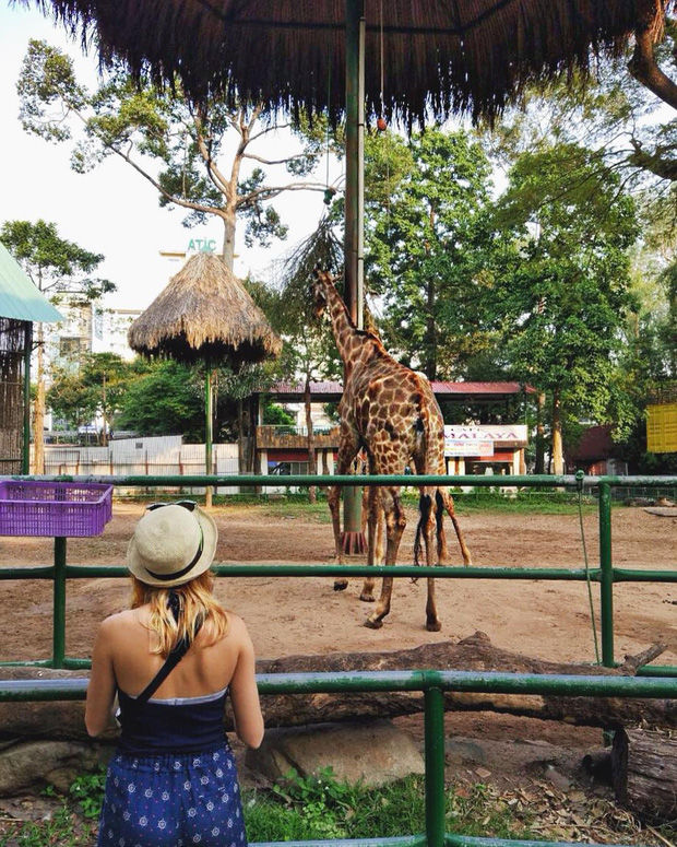 Thảo Cầm Viên – địa điểm đang dần bị lãng quên bởi giới trẻ Sài Gòn hiện đại: Nếu không “giải cứu” kịp thời, có lẽ nơi này sẽ mãi là ký ức! - Ảnh 2. Thảo Cầm Viên – địa điểm đang dần bị lãng quên bởi giới trẻ Sài Gòn hiện đại: Nếu không “giải cứu” kịp thời, có lẽ nơi này sẽ mãi là ký ức! - Ảnh 2.