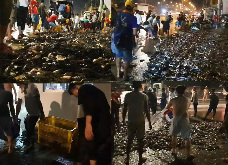 Hình ảnh người dân ven đường giúp đỡ xe chở cá bị lật ngay trong đêm (Ảnh: PLO)