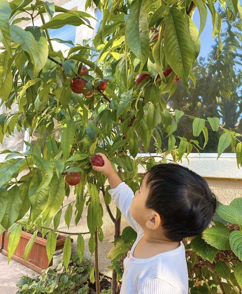 Mùa dịch, Phạm Hương vẫn cho con trai đi học mẫu giáo tại Mỹ
