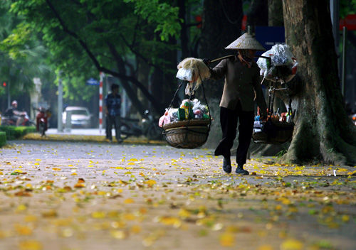 Hà Nội - mùa lá rụng