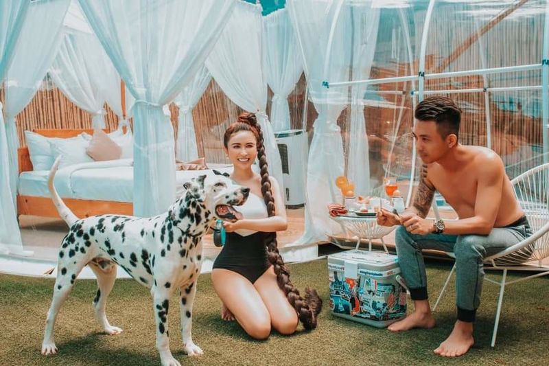 Đặc quyền thú cưng của vợ 2 Minh Nhựa: Du lịch khắp nơi cùng chủ