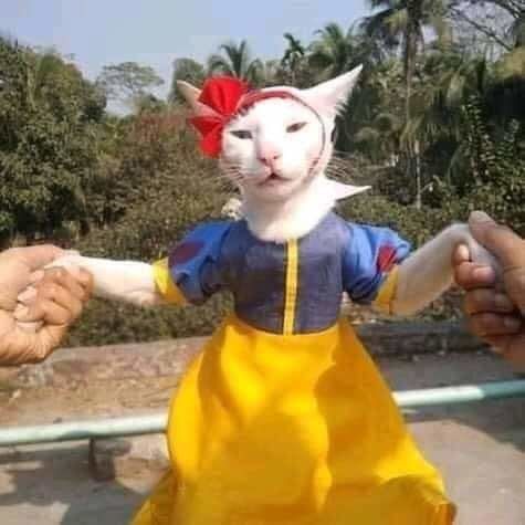 Pha cosplay hot nhất MXH: Sen có tâm đầu tư cho boss làm Bạch Tuyết