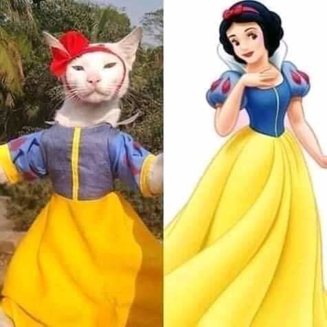 Pha cosplay hot nhất MXH: Sen có tâm đầu tư cho boss làm Bạch Tuyết