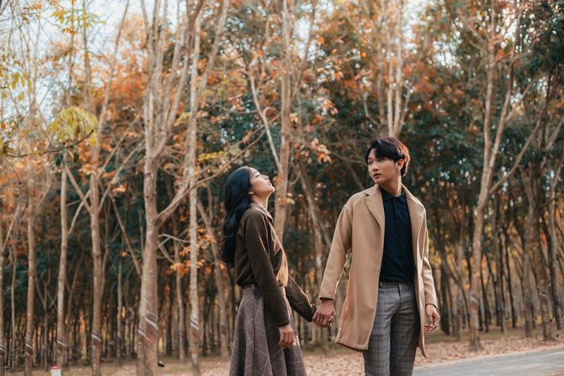 Rừng cao su Bình Dương mùa thay lá: Độ đẹp ăn đứt phim Hàn