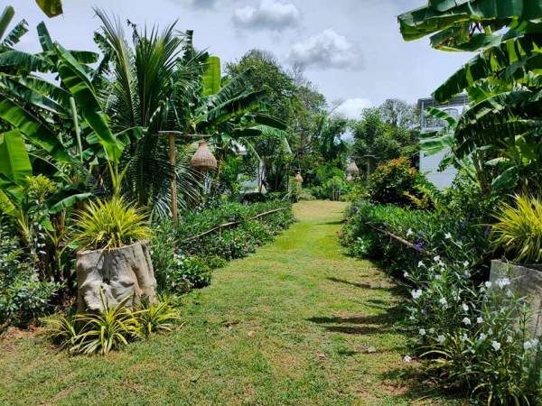 Cặp vợ chồng bỏ phố về quê, xây nhà vườn như homestay với 150 triệu