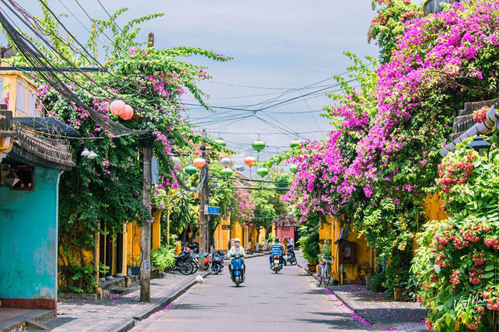 Vẻ đẹp Hội An sáng sớm: Việt Nam còn vô vàn cảnh đẹp chờ bạn khám phá