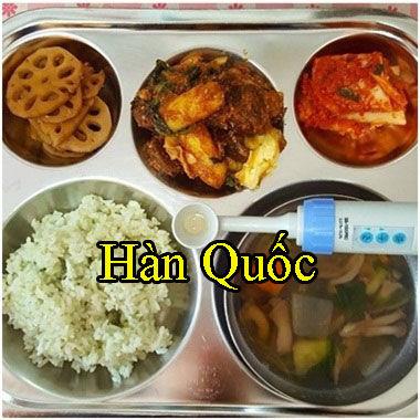 Khám phá những bữa ăn trưa đẹp mắt và ngon miệng của học sinh trên thế giới