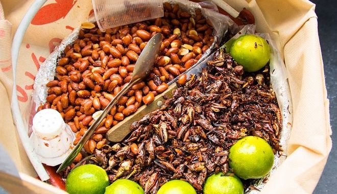 Thế giới sắp xảy ra nạn đói, hãy tập ăn côn trùng ngay hôm nay Thế giới sắp xảy ra nạn đói, hãy tập ăn côn trùng ngay hôm nay