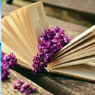Những câu nói làm kim chỉ nam cho cuộc sống hút like rần rần từ cộng đồng mạng