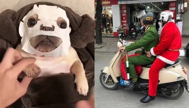 Ảnh vui tuần qua: Lý do năm nay không có quà Noel, sướng như chó là có thật! Ảnh vui tuần qua: Lý do năm nay không có quà Noel, sướng như chó là có thật!