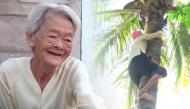 Cụ bà U80 leo cây hái dừa thoăn thoắt, tuy nghèo nhưng luôn nở nụ cười
