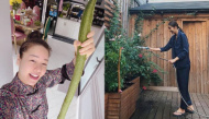 Sao Việt làm vườn mát tay: Nhật Kim Anh trồng mướp dài bằng người