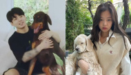 Đặc quyền cún cưng của sao Hàn: Jungkook (BTS) "cưng tận nóc"