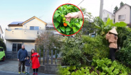 Quỳnh Trần JP: Làm kênh ẩm thực giờ mua nhà ở Nhật, trồng ớt nửa tỷ
