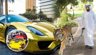 Xứ Dubai giàu có: Siêu xe vứt bãi rác, nuôi hổ như nuôi mèo