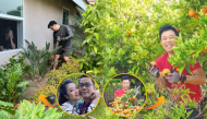 Sao Việt mát tay làm vườn trái cây ăn quanh năm ở Mỹ