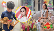 Ảnh hot sao Việt 21/1: Hoa hậu Đặng Thu Thảo đẹp như trong tranh