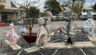 Dân tình rần rần “mèo phù thuỷ” ở Đồng Nai: Mèo hiện thân của cú