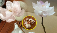 Giới trẻ hồ biến vỏ tỏi thành hoa sen tinh tế: Sự sáng tạo của gen Z
