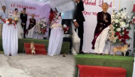 Hài hước chú cún chiếm spotlight trong đám cưới: “Sao không mời tui"