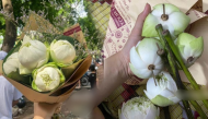 Mua hoa sen bắt trend mùa thu Hà Nội, cô bạn nhận cái kết đắng