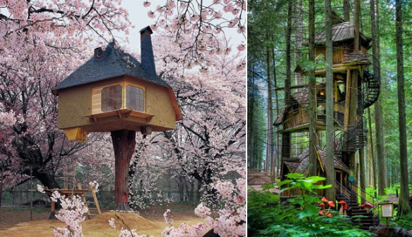 Những ngôi nhà trên cây tuyệt đẹp đưa bạn về thế giới tuổi thơ