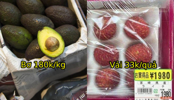 Loại quả rẻ bèo ở Việt Nam nhưng cực kì đắt đỏ ở nước ngoài: vải 33k/quả, bơ 180k/kg