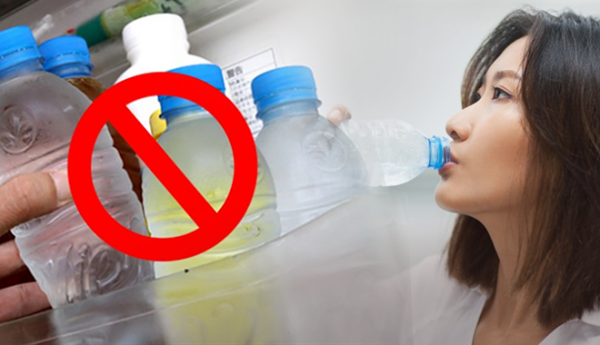Tiến sĩ Particia Hunt: Tái sử dụng chai nhựa dễ nhiễm hóa chất độc hại