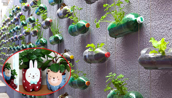 Tận dụng chai nhựa để trồng cây, làm chậu cây tự tưới và nhà kính mini