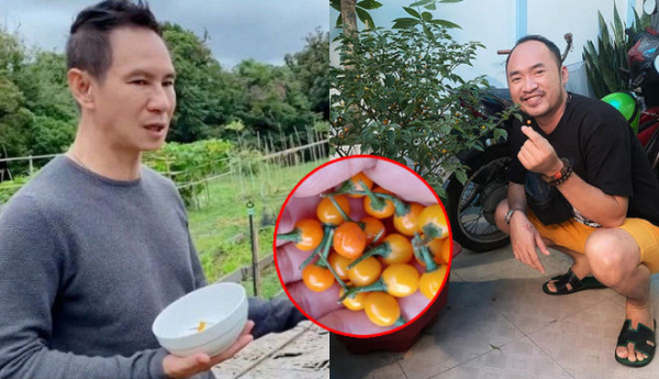 Làm giàu không khó: Sao Việt nô nức trồng cây ớt 500 triệu/kg