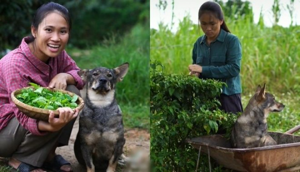 Bỏ 9 năm ở Sài Gòn về làm vườn: Cô gái trở thành Tiktoker chân chất 