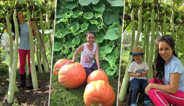 Sang Mỹ, mẹ Việt vẫn giỏi làm vườn: Rau trái trĩu quả căng mọng