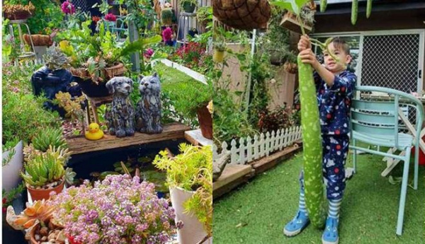 Mẹ Việt ở Úc vừa chăm con khéo, vừa làm vườn mát tay