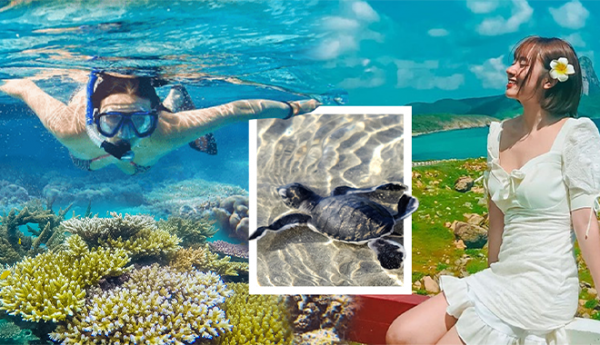 Mùa hè này hòa mình vào thiên nhiên tại Côn Đảo: Lặn ngắm san hô